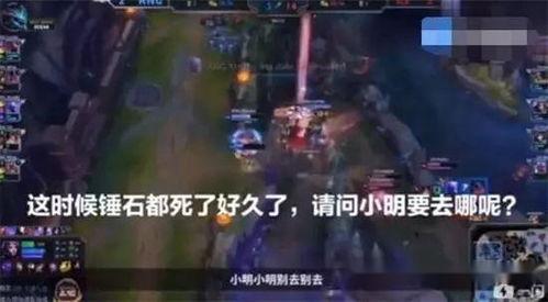 黑龙爆料假拳视频大全播放,假拳视频大全播放背后的真相  第1张